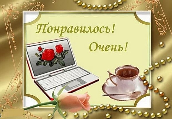 Preview «Мне очень понравился мой первый год здесь» – Дерек Корнелиус об адаптации в Марселе