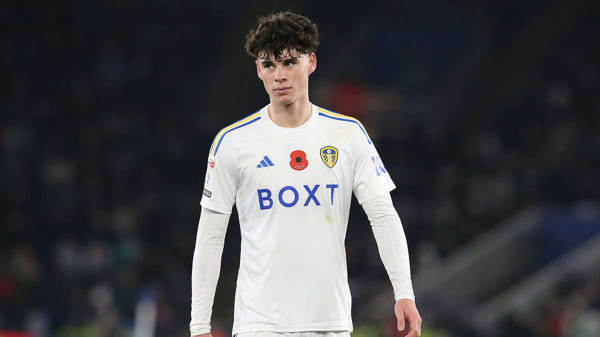 Preview Лидс проявляет интерес к Модибо Саньяну из «Монпелье»