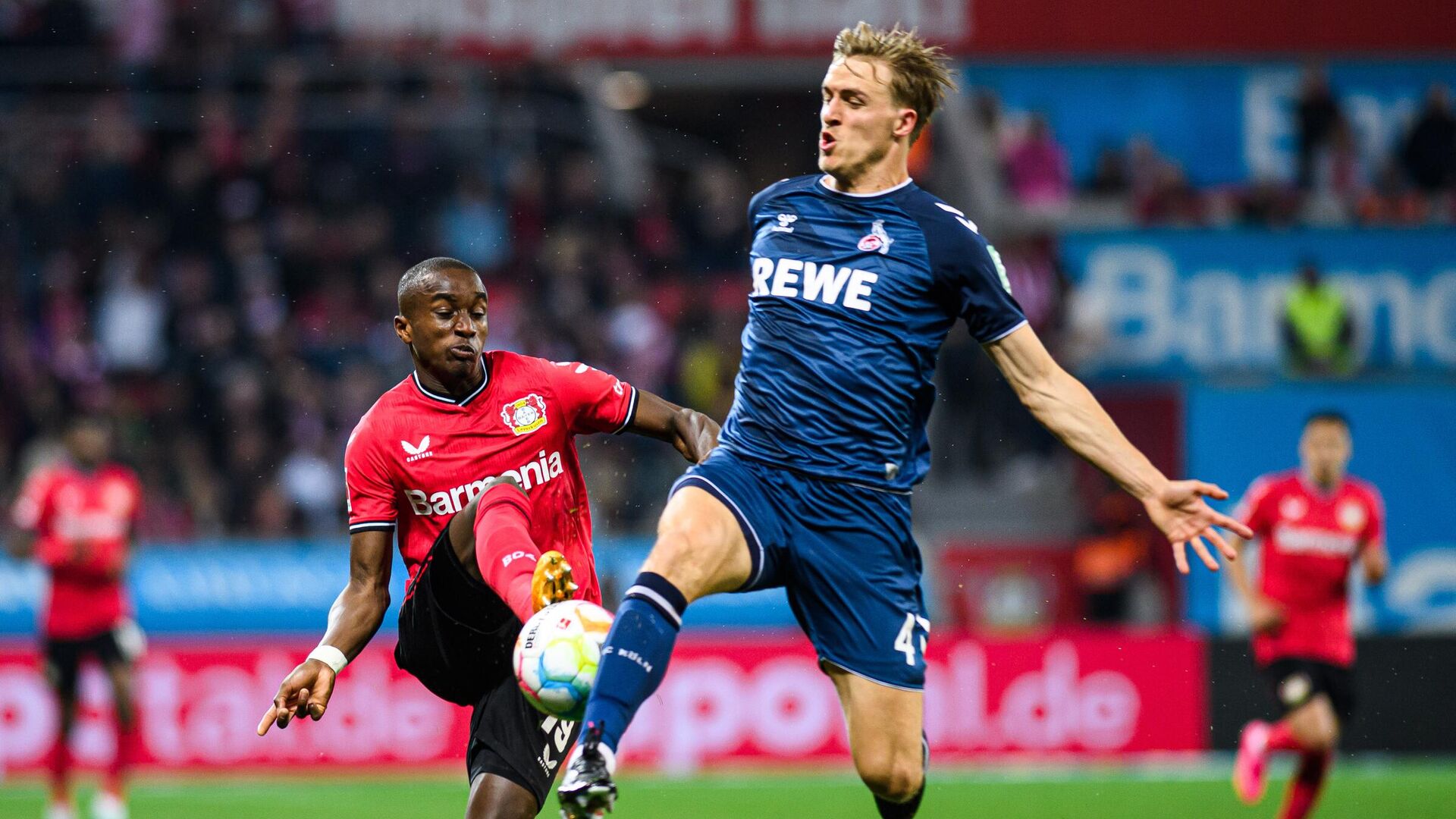 Preview Нападающие Кёльна ведут команду обратно в Бундеслигу