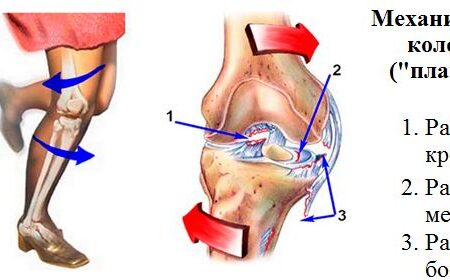 Уссуф Ндайишимие разрыв крестообразных связок: очередная травма для «Ниццы»