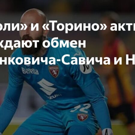 Трансферные переговоры между «Наполи» и «Торино»: Нгонге и Милинкович-Савич в центре внимания