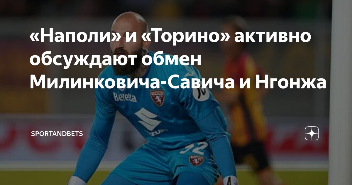 Preview Трансферные переговоры между «Наполи» и «Торино»: Нгонге и Милинкович-Савич в центре внимания