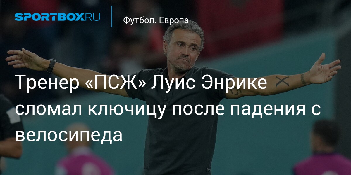 Preview Главный тренер «ПСЖ» Луис Энрике сломал ключицу