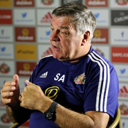 Сэм Эллардайс хвалит стратегию «Сандерленда» в Премьер-лиге