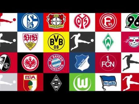 Три клуба Лиги 1 и четыре команды Бундеслиги интересуются Гессимом Яссином