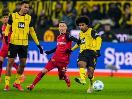 «Боруссия» (Дортмунд) и «Байер» претендуют на Александара Станковича