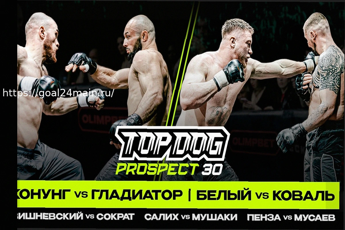 Preview Игорь Дола (16): Восходящая Звезда Защиты Айнтрахта