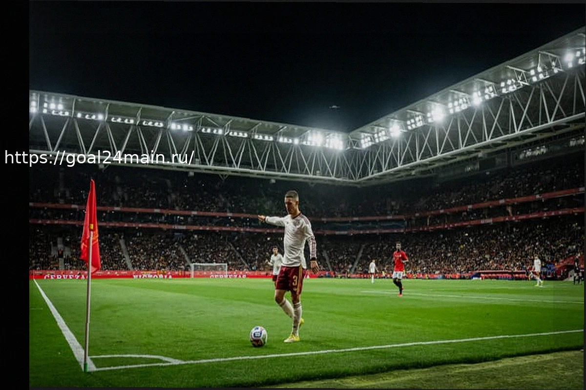 Preview Оскорбительная кричалка испанских фанатов «Кто не прыгает, тот мусульманин» на матче с Египтом возмутила Испанию